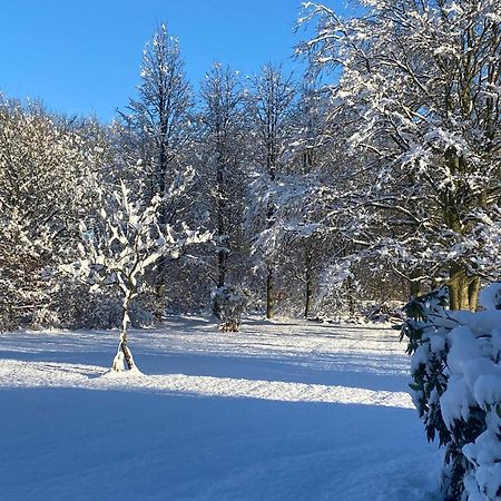 Skont Hus Pa Landet Taet Pa Billund Villa Give Екстериор снимка